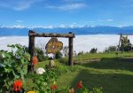 Hidden Paradise in Phoolbari! – Mundhum Farm Stay